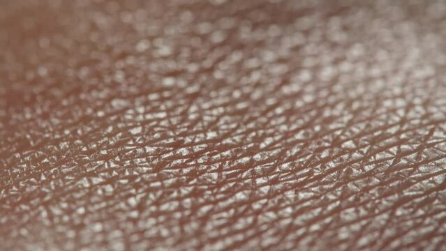 Hand skin texture close-up. Arm surface macro shooting. Body and healthcare, hygiene and medicine concept.