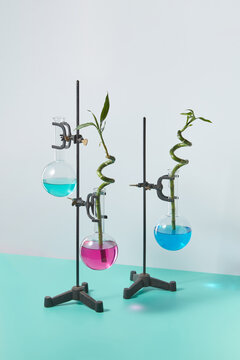 Bamboo twigs in chemical reagents