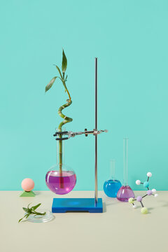 Bamboo twig in chemical reagent