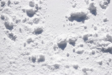 Snow texture