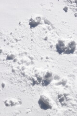 Snow texture