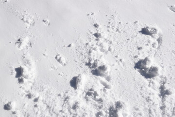 Snow texture