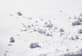 Snow texture