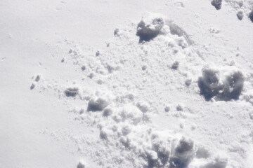 Snow texture