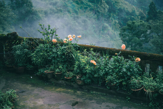 Darjeeling 