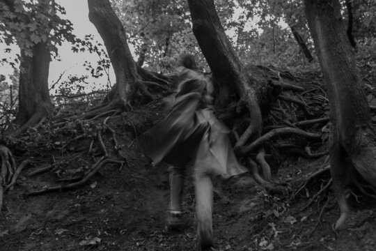 ghost in the woods

