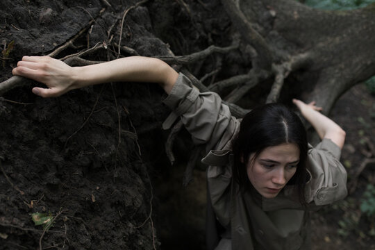 human hands in the roots
