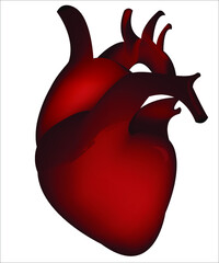 An illustration of a heart. This object can be used as an advertising concept for medical and science materials. Can be used as a logotype for health organizations. Vector illustration, isolated.