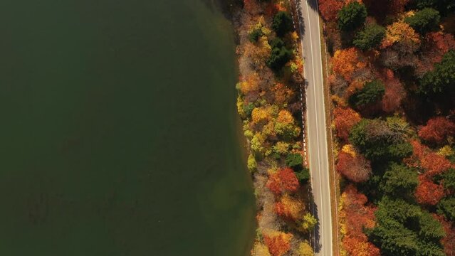 Autumn in Racha, colorful trees, Shaori Lake, Georgia