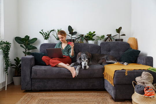 Woman with credit card near dog