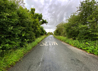 A rainy day on, Ray Bridge Lane, with wild plants old trees, and heavy cloud near, Gargrave, Skipton, UK
