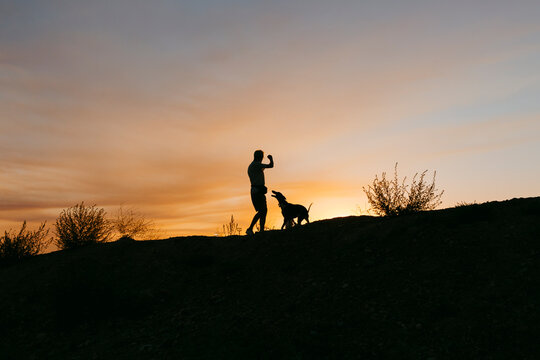Silhouette of man training his dog at sunset