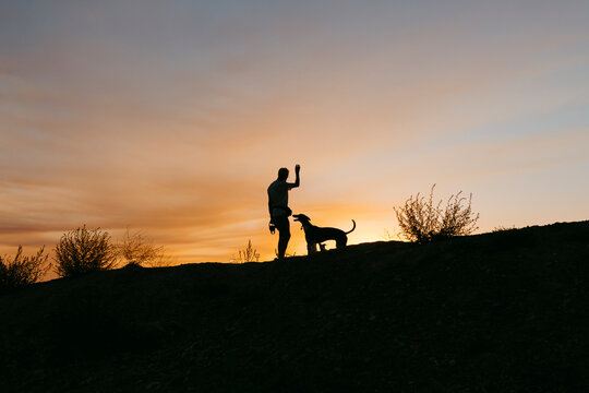 Silhouette of man and dog at sunset