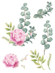 Watercolor Peony flower illustration set - collection green blushes blue, yellow pink for wedding stationary, greetings, wallpaper, fashion, posters, background. 