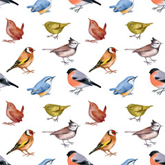 Vector illustration of seamless pattern with forest birds