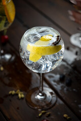 GIN TÓNIC CON LIMÓN