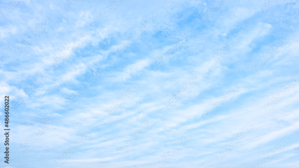 Canvas Prints sky with white clouds - background