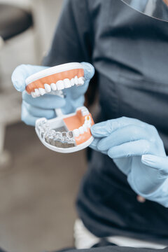 The dentist holds a model of the teeth. 