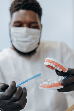 The dentist holds a model of the teeth. 