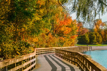 Fototapeta na wymiar bridge in autumn park