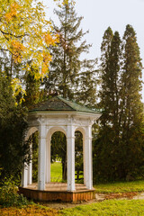 gazebo in autumn park