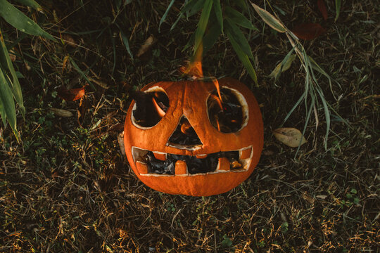 A scary diy pumpkin in a graden