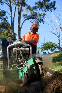 Man operating stump grinder machine