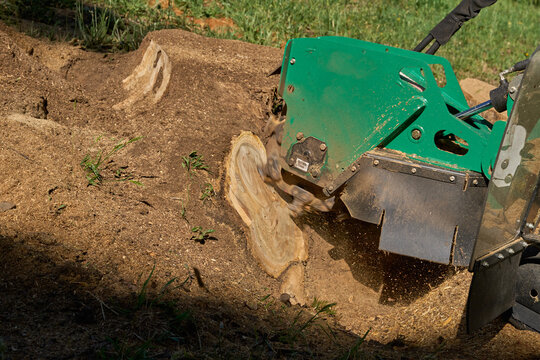 Stump Grinding Machine In Use