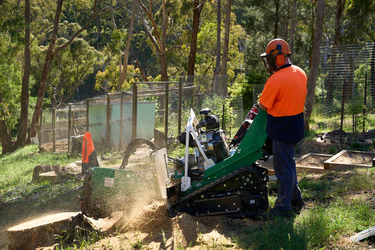 Man using a stump grinder to clean up landscape 