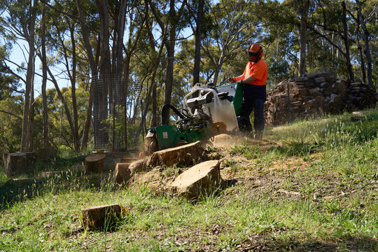 Work Man Using A Stump Grinding Machine