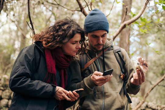 Identifying wild fungi