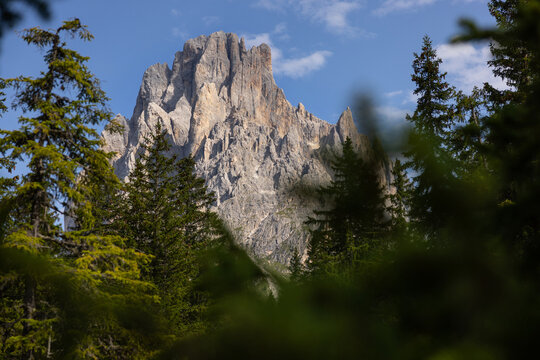 Saslong peak on the Italian Dolomites between tree branches