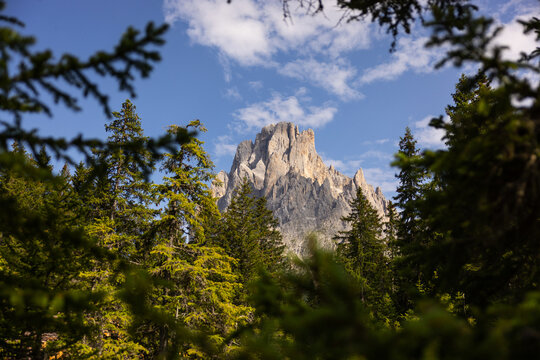 Saslong peak on the Italian Dolomites between tree branches
