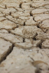 Closeup detail of dry cracked lakebed