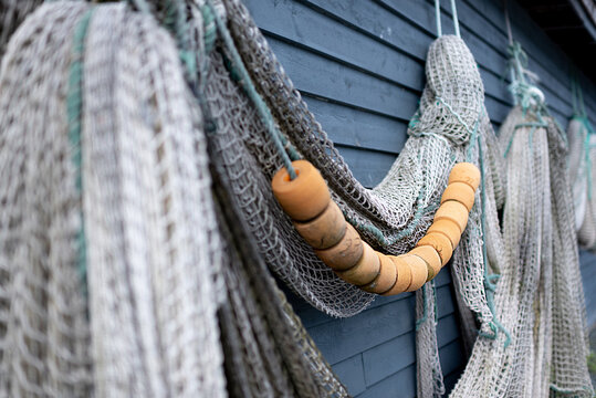 Fish net
