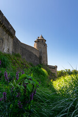 View of the observation towers of the medieval fortified Castle of Fougeres.Blue sky on a clear sunny summer day. City of Fougeres, department of Brittany,France.