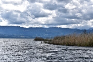 wetland and mountains