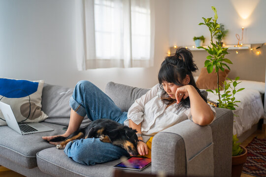 Dog Disturbing To A Girl With Tablet Laying On A Couch.