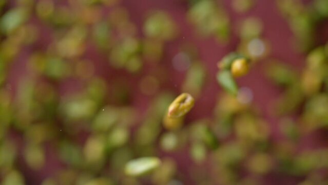 Close-up shot of salted peanuts flying towards the camera on a red background in slow motion. Green pistachios coming towards camera in 4K, Super slow motion