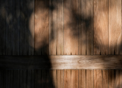 Sunlight and shadow through leaf on wooden fence
