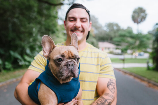 French bulldog with its owner