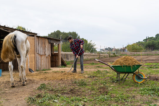 Farmer with rake in orchard cleaning horse stable