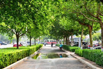 LUANNAN COUNTY, Hebei Province, China - June 19, 2019: pedestrians walk under green trees on urban streets and roadsides in summer.