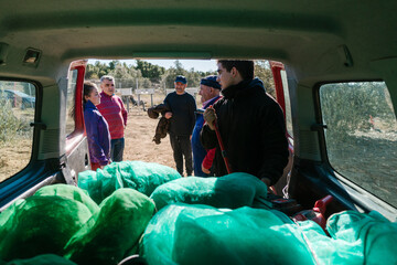 Group of farmers near car with harvest of olives