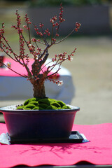 神戸須磨離と海釣り公園の景色
