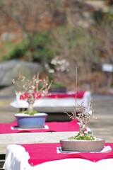 神戸須磨離と海釣り公園の景色