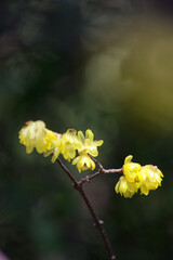 神戸須磨離と海釣り公園の景色