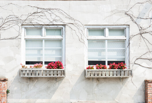 White wooden window and rough wall