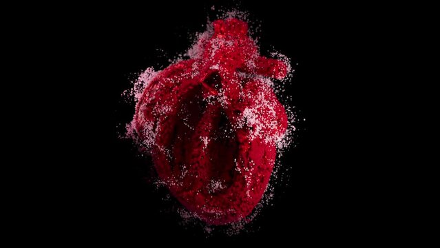 Artistic 3D Pulsing Heart Render. The heart is beating and around it is abstract particles. Isolated.