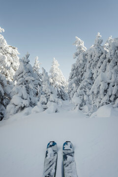 Skis ready